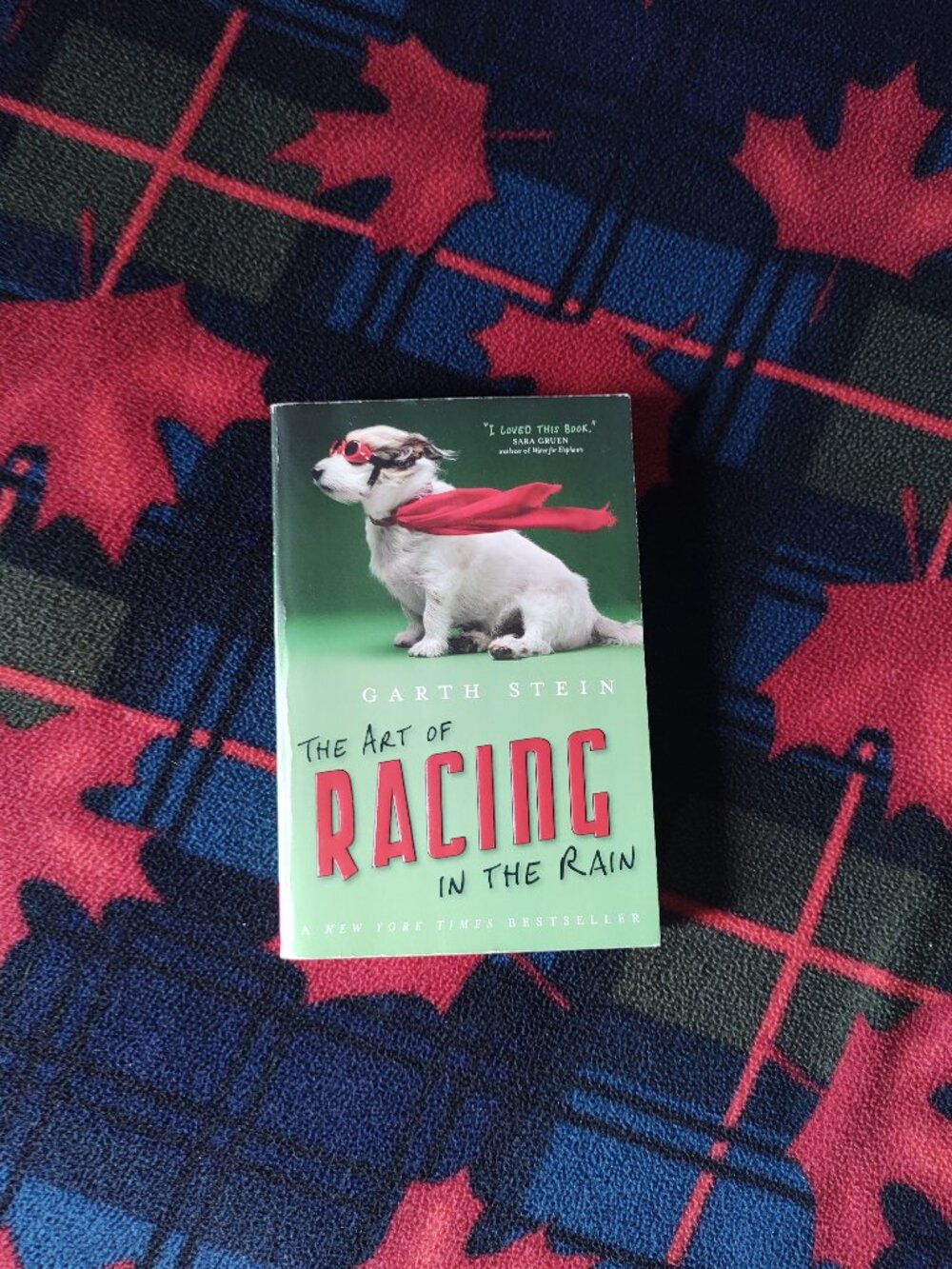 📚 3/$15 or 5/$20 📚 Book - The Art of Racing in the Rain by Garth Stein